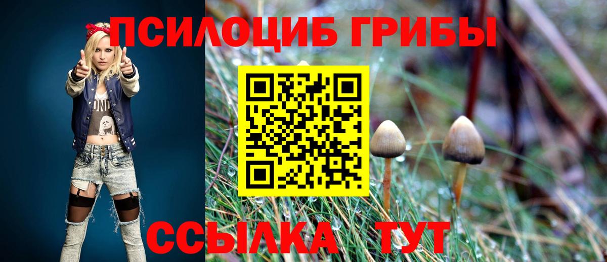 Хасавюрт  Галлюциногенные грибы ЛСД  Галлюциногенные грибы прущие грибы  Вход с VPN 
